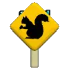 squirrel crossing text