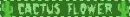 cactus flower text