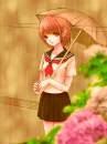 Rainy day