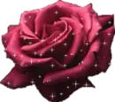 rose 