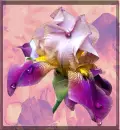 Flower.