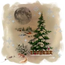 The Winter