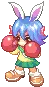trickster bunny