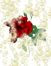 Bubble