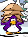 Club penguin