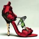 Shoe