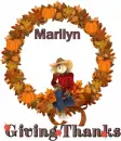 Marilyn