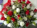 rosas