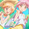 shugo chara friends