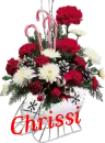 Christmas Flower Sleigh - Chrissi