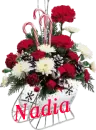 Christmas Flower Sleigh - Nadia