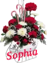 Christmas Flower Sleigh - Sophia
