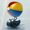 fly and beach ball
