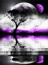 purple planet