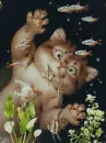 cat in aquarium