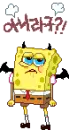 sponge bob