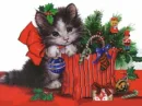 Gift