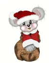 creddy