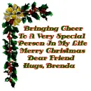 Merry Christmas Special Person