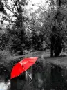 rainy day