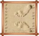 Footprint