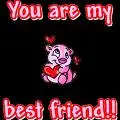 haii