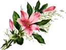 Pink floral bouquet