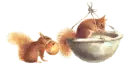 squirrel  mischeif