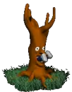 man eating tree