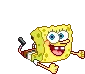 sponge bob
