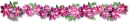 flower divider