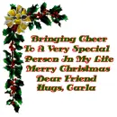 Bringing Cheer Carla