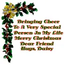 Bringing Cheer Daisy