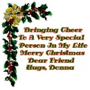 Bringing Cheer Donna