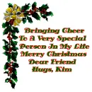 Bringing Cheer Kim