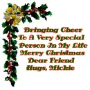Bringing Cheer Mickie