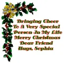 Bringing Cheer Sophia