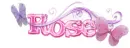 Rose ... butterflies