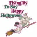 Flying By To Say Happy Halloween