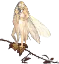child fairies