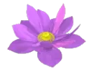 purple flower avatar