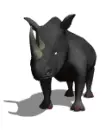 rhinocerus