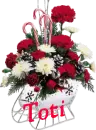 Christmas Flower Sleigh - Toti