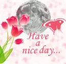 Have a nice