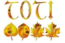 TOTI