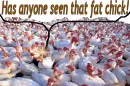 Missing, A fat turkey