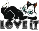 Love It-black cats