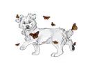 BUTTERFLIES
