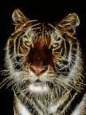 gold glitter tiger