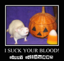 I Suck Your Blood- Rat